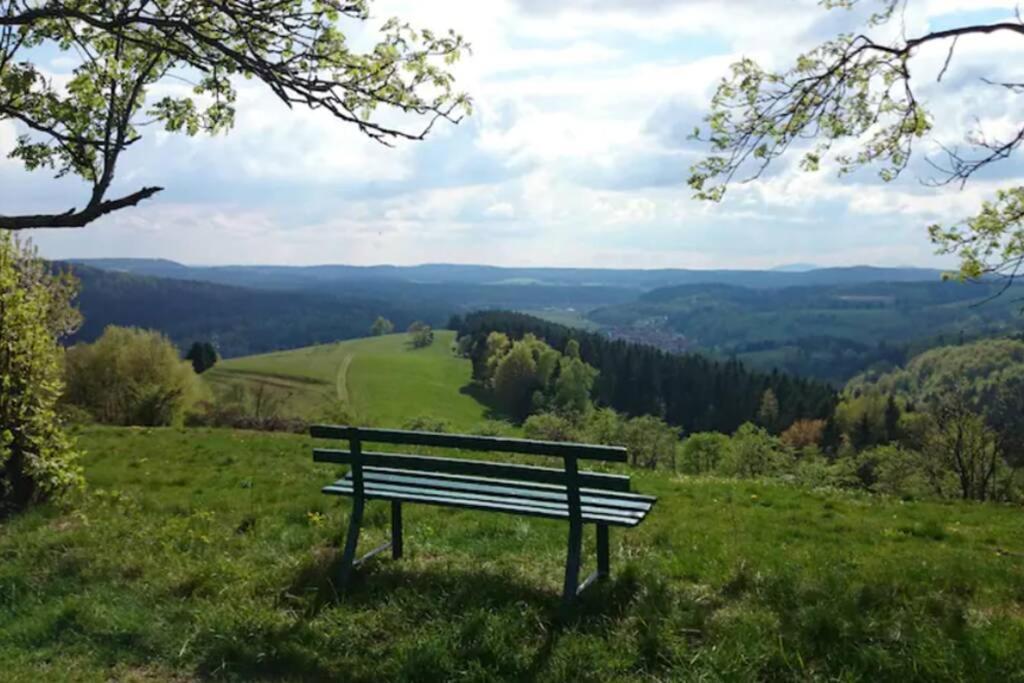 Ruhiges Ferienhaus Am Waldrand Mit Sauna Und Kamin - Hellaberg II Langenbach  外观 照片