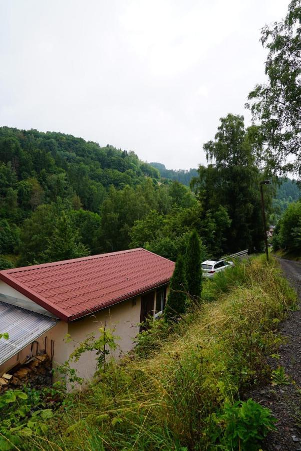 Ruhiges Ferienhaus Am Waldrand Mit Sauna Und Kamin - Hellaberg II Langenbach  外观 照片